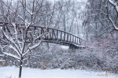 Bridge over Flint River Riverview Trail in Flushing Michigan | Flint ...