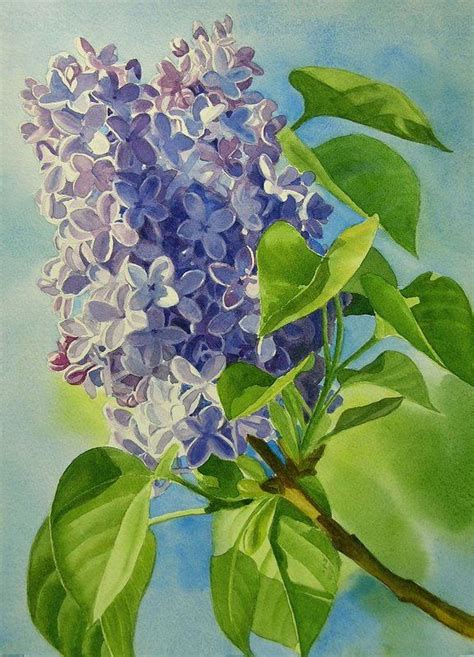 Lilac Art Print featuring the painting Blue And Lavender Lilacs by Sharon Freeman Abstract ...