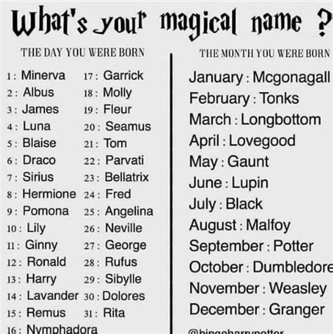 Magical Name | Harry potter characters, Harry potter spells, Harry potter facts