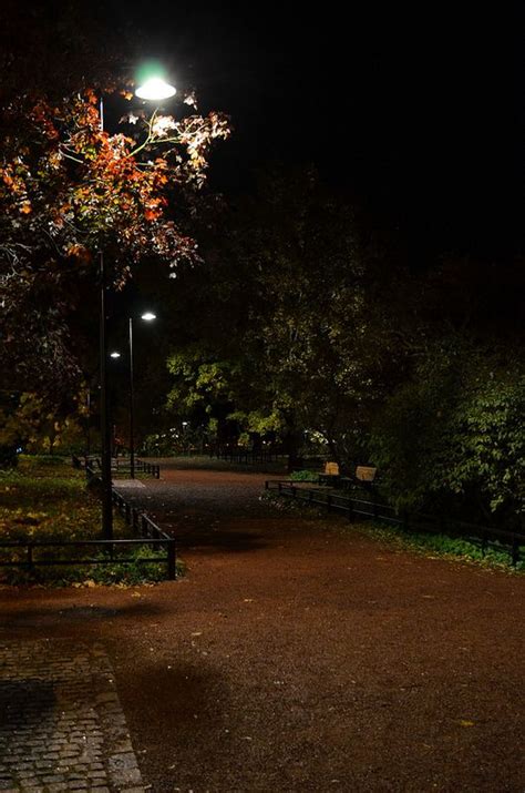 Empty Park Path at Night