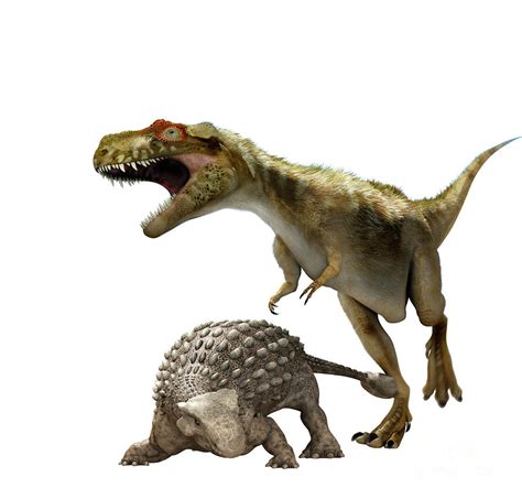 Tyrannosaurus Rex Vs Triceratops And Ankylosaurus