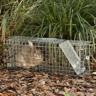 Havahart Collapsible Rabbit & Skunk Trap - Outdoor Living - Pest Control - Traps