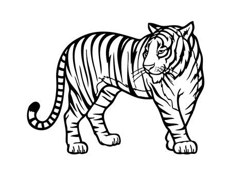 Printable Jungle Animals Coloring Pages | Www.bloomscenter.com - Coloring Home