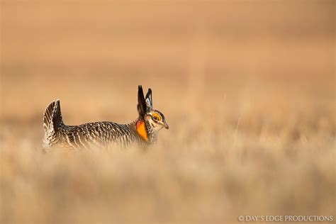 Northern Great Plains — Neil Losin Photography