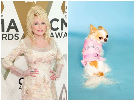 Dolly Parton releases pet apparel line named Doggy Parton, yes really