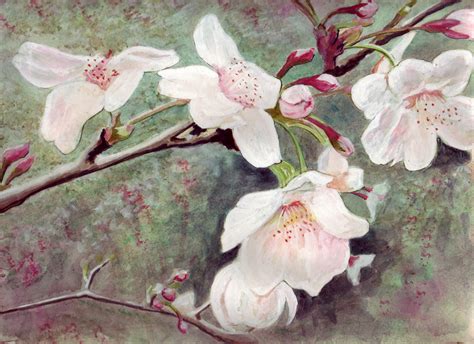 Bunny's Artwork: Cherry Blossom Branch Watercolor Painting