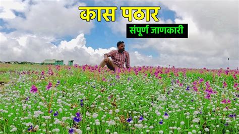 Kaas Pathar Satara 2023 | Kaas Plateau Vlog | Valley Of Flowers ...