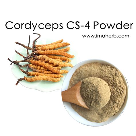 Organic Cordyceps Sinensis (CS-4) Extract Powder