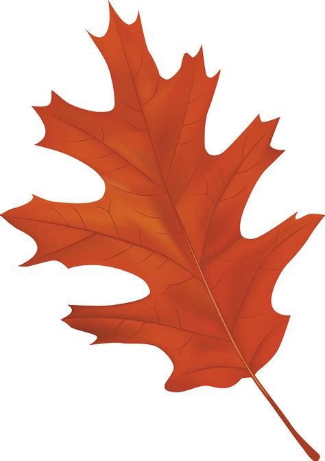 Autumn Leaf Images - ClipArt Best