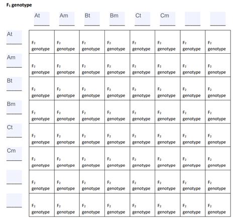 Solved Using allele symbols AT/AM, ﻿BT/BM, ﻿and CT/CM, | Chegg.com