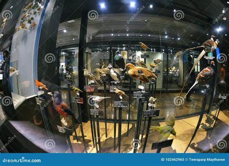 National Museum of Nature and Science , Tokyo Editorial Image - Image ...