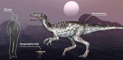 4-inch tall dinosaur relative roamed Madagascar 200m+ years ago | Daily ...