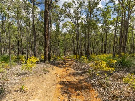 Mundaring Loop Hike, Perth, Western Australia