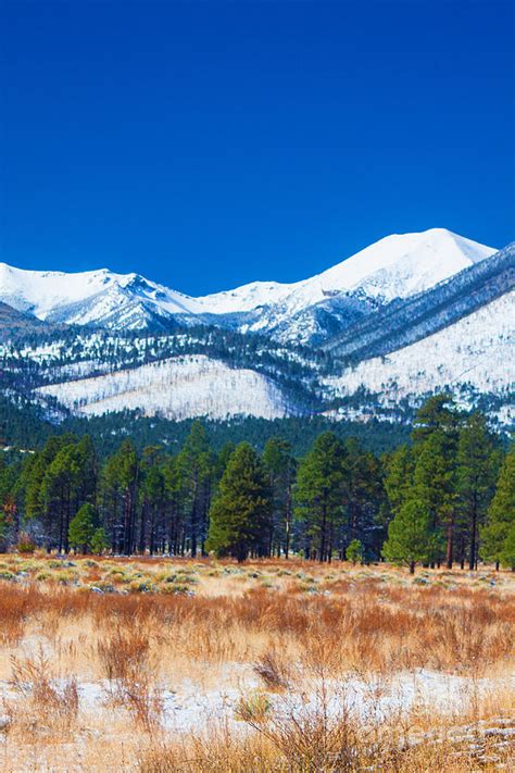 Sunset Crater National Monument Photograph by Todd Breitling