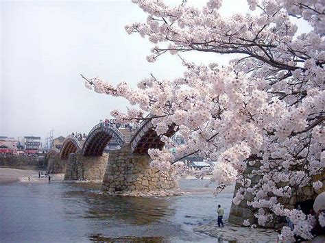 Kintai Bridge | Yamaguchi | Japan Deluxe Tours