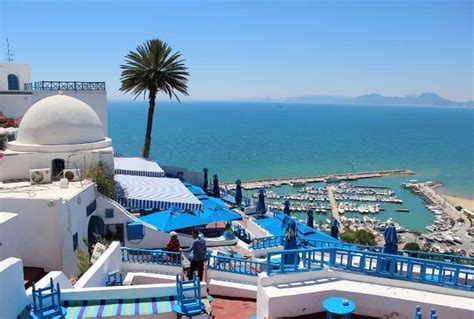 Insider Guide to Gammarth Tunis - The Boutique Vibe