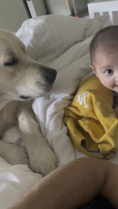 Baby tries to kiss puppy back! : r/MadeMeSmile