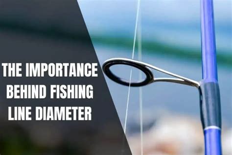 Fishing Line Diameter: How It Affects Your Fishing Success - Begin To Fish