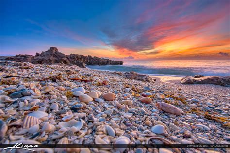 Seashells at Jupiter Island Beach Sunrise Over Ocean – HDR Photography by Captain Kimo