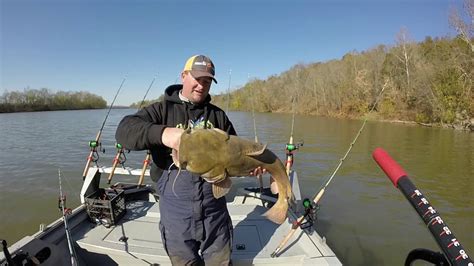 Basic fall flathead catfishing tips - YouTube