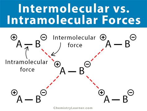 Intermolecular Forces: Definition, Types, and Examples