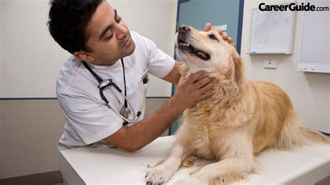 6 Steps To Becoming A Veterinary Doctor - CareerGuide