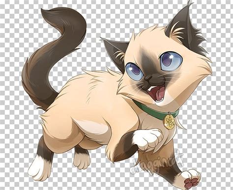 Kitten Ragdoll Whiskers Drawing Tail PNG, Clipart, Animal, Animals, Anime, Art, Canidae Free PNG ...