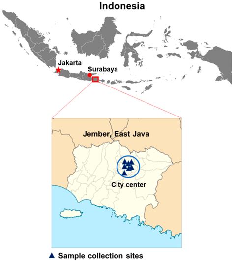 Map of study sites in Jember, East Java province, Indonesia. | Download Scientific Diagram