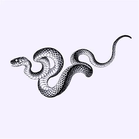 snake. 주문제작된 도안입니다 (customized) | Snake tattoo design, Serpent tattoo ...