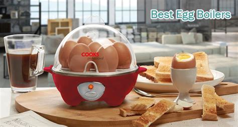 10 Best Egg Boilers in India 2024 - Reviews and Buying Guide