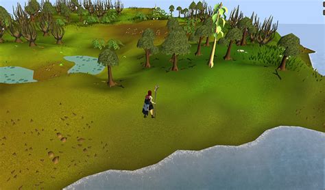 What Are The Best Teak Tree Spots in OSRS? – FandomSpot