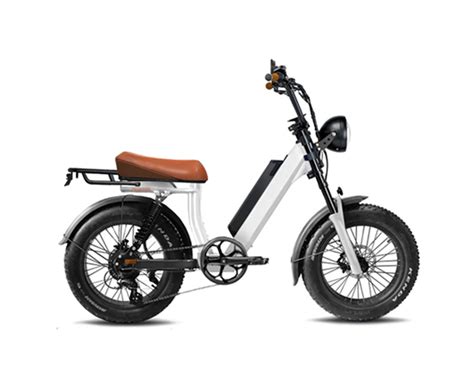 Leebike Special Electric bike, Electric Bike Supplier, China Cheap Electric Bike | Leebike