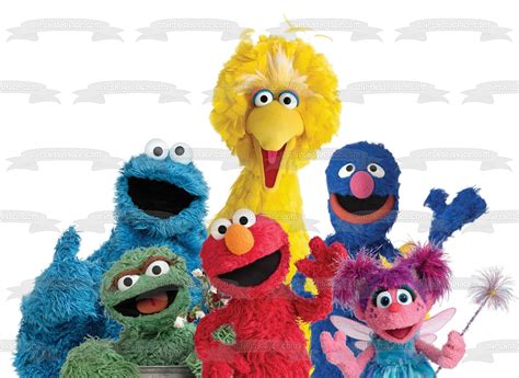 Sesame Street Big Bird Elmo Cookie Monster Oscar the Grouch Abby Cadab – A Birthday Place