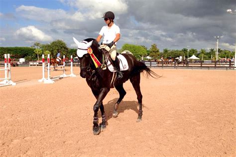 Things To Know Before Taking Horseback Riding Lessons