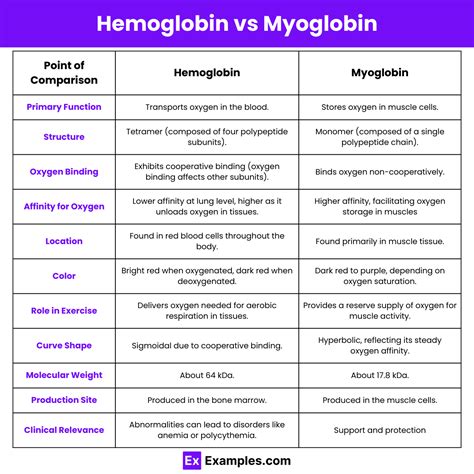 Hemoglobin vs Myoglobin - Difference Explained with Structure & Function