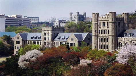 Study Abroad at Korea University | TEAN Study Abroad