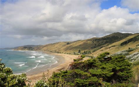 Wainui Beach / North Island / New Zealand // World Beach Guide