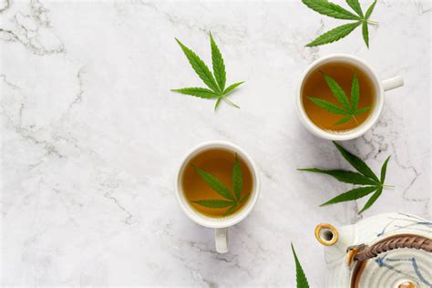 Health benefits of cannabis tea according to research | Thaiger