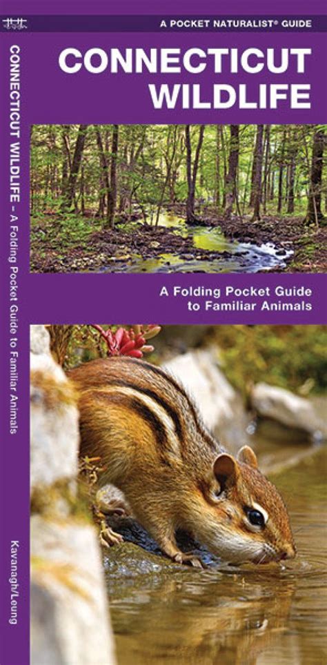 Connecticut Wildlife: A Folding Pocket Guide to Familiar Species | NHBS ...