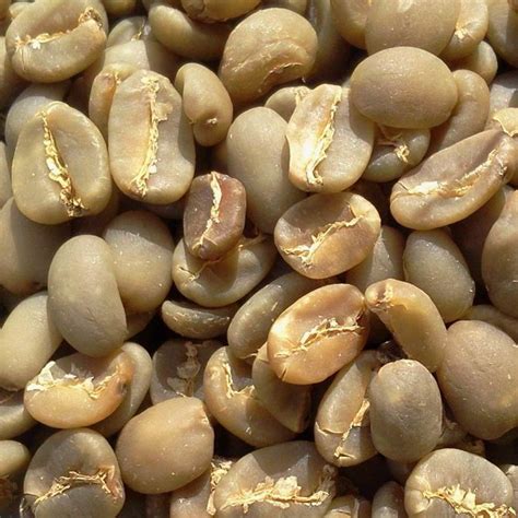 Robusta Coffee Beans Indonesia Supplier » Wholesale Factory