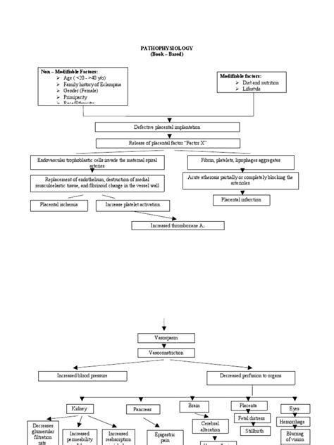 Pathophysiology Eclampsia | PDF