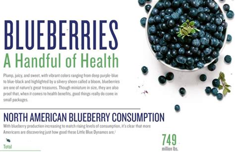 9 Blueberry Benefits Infographic