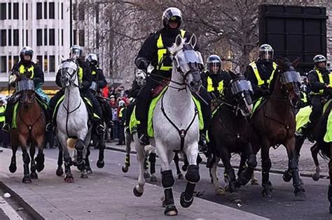 Mounted police in plea for horses on loan as they run short of mounts ...