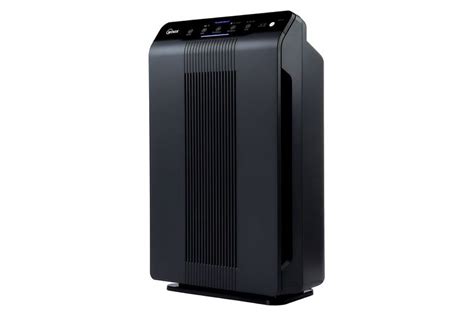 The Best Air Purifiers for Mold Prevention