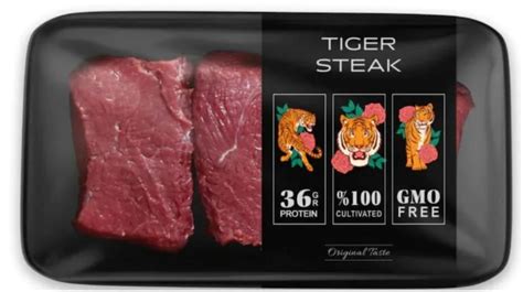 Lion Burger, Tiger Steak From Lab-Grown Meat Hit the Market ...