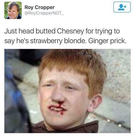 Damn gingers. (Kidding gingers are attractive - Meme by Vespite ...