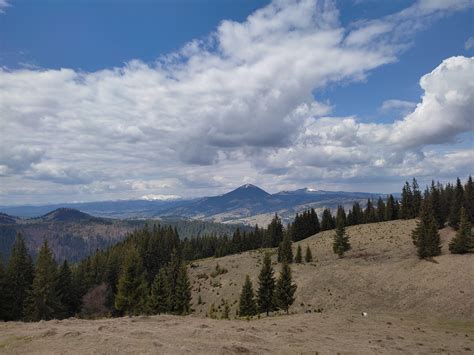 Landscape in the Vatra Dornei National Park, Vatra Dornei, Suceava ...