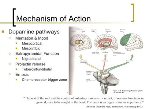 slsi.lk - how long for sulfatrim to work | What is the mechanism of action of antipsychotic ...