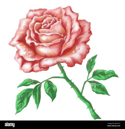 Red rose acrylic painting Cut Out Stock Images & Pictures - Alamy