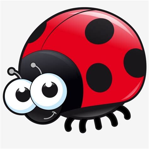 Ladybugs, Insects Clipart, Red, Beetle PNG and Vector with Transparent ...